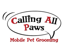 Case Study Calling All Paws